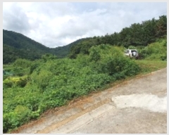  2024Ÿ��105269  ����