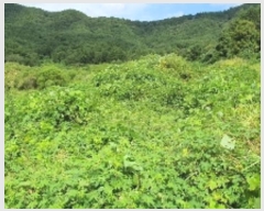  2024Ÿ��105269  ����