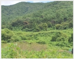  2024Ÿ��105269  ����