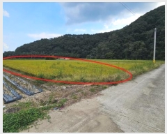  2024Ÿ��105597 �泲 â���� ���������� ������ ��� 280-1     ����(��1)���