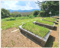  2024Ÿ��105597 �泲 â���� ���������� ������ ��� 280-1     ����(��1)���