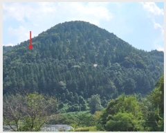  2024Ÿ��105597 �泲 â���� ���������� ������ ��� 280-1     ����(��1)���