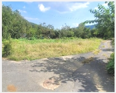  2024Ÿ105894 泲 â    541-2     ()