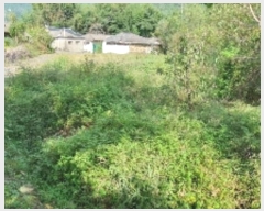  2024Ÿ105894 泲 â    541-2     ()