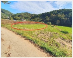  2024Ÿ106552 泲 â    76-1     ()