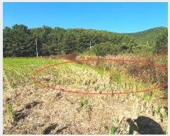  2024Ÿ106552 泲 â    76-1     ()