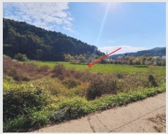  2024Ÿ106552 泲 â    76-1     ()