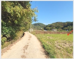  2024Ÿ106552 泲 â    76-1     ()