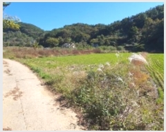  2024Ÿ106552 泲 â    76-1     ()