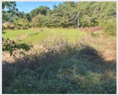  2024Ÿ106552 泲 â    76-1     ()