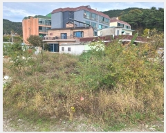  2024Ÿ��106750 �泲 â���� ���������� ������ ���帮 267-1     ����(����)���