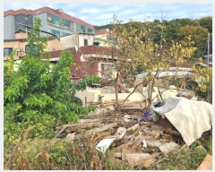  2024Ÿ��106750 �泲 â���� ���������� ������ ���帮 267-1     ����(����)���