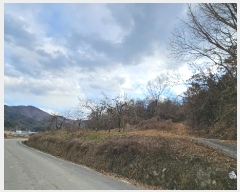  2024Ÿ��107401 �泲 �Ծȱ� �Ծȸ� ���̸� 533-1      ����(��1)���