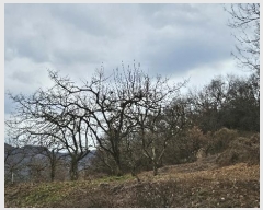  2024Ÿ��107401 �泲 �Ծȱ� �Ծȸ� ���̸� 533-1      ����(��1)���