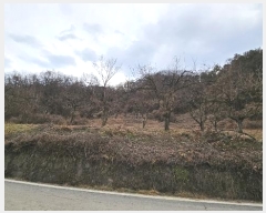  2024Ÿ��107401 �泲 �Ծȱ� �Ծȸ� ���̸� 533-1      ����(��1)���