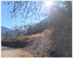  2024Ÿ��107401 �泲 �Ծȱ� �Ծȸ� ���̸� 533-1      ����(��1)���