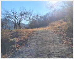  2024Ÿ��107401 �泲 �Ծȱ� �Ծȸ� ���̸� 533-1      ����(��1)���