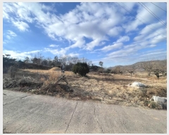  2024Ÿ��107609 �泲 �Ծȱ� ������ ������ 464      ����(��1)���