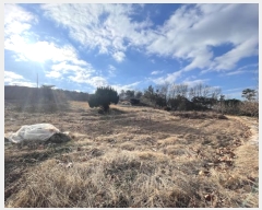  2024Ÿ��107609 �泲 �Ծȱ� ������ ������ 464      ����(��1)���