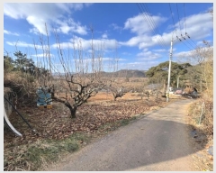  2024Ÿ��107609 �泲 �Ծȱ� ������ ������ 464      ����(��1)���