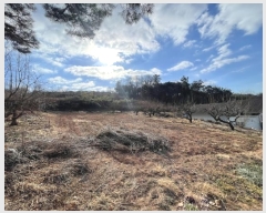  2024Ÿ��107609 �泲 �Ծȱ� ������ ������ 464      ����(��1)���