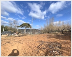  2024Ÿ��107609 �泲 �Ծȱ� ������ ������ 464      ����(��1)���