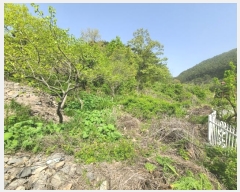  2024Ÿ890 泲 â   ö 35     ()