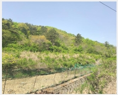  2024Ÿ890 泲 â   ö 35     ()