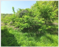  2024Ÿ890 泲 â   ö 35     ()