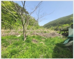  2024Ÿ890 泲 â   ö 35     ()