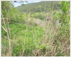  2024Ÿ890 泲 â   ö 35     ()