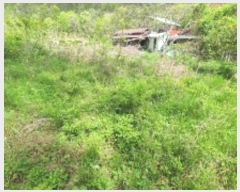  2024Ÿ890 泲 â   ö 35     ()