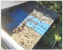  2024Ÿ��2162  �����Ұ��