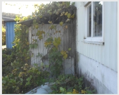  2024Ÿ��2162  �����Ұ��