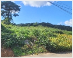  2024Ÿ2704 泲 Ծȱ  򸲸 689-1      (1)