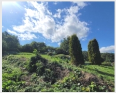  2024Ÿ2704 泲 Ծȱ  򸲸 689-1      (1)