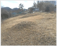  2024Ÿ2704 泲 Ծȱ  򸲸 689-1      (1)