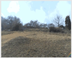  2024Ÿ2704 泲 Ծȱ  򸲸 689-1      (1)