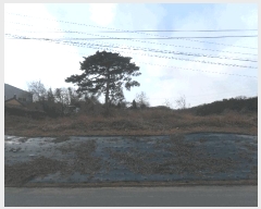  2024Ÿ2704 泲 Ծȱ  򸲸 689-1      (1)