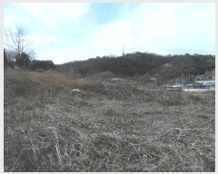  2024Ÿ2704 泲 Ծȱ  򸲸 689-1      (1)