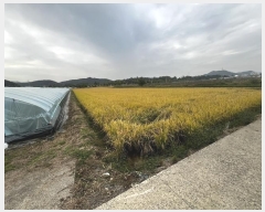  2024Ÿ2759 泲 Ծȱ  ˾ϸ 355-1      ()