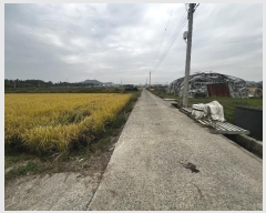  2024Ÿ2759 泲 Ծȱ  ˾ϸ 355-1      ()