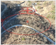  2024Ÿ��3455  �����