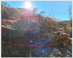  2024Ÿ��3455  �����