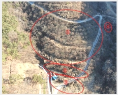  2024Ÿ��3455  �����