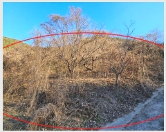  2024Ÿ��3455  �����