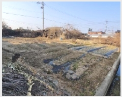  2024Ÿ��3509 �泲 �Ծȱ� ���� ��ϸ� 1262      ����(��1)���