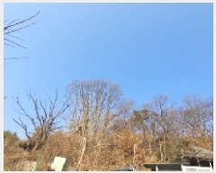  2024Ÿ��3509 �泲 �Ծȱ� ���� ��ϸ� 1262      ����(��1)���