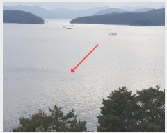  2024Ÿ��101830 �泲 â���� ���������� ����� ��������      ����ǰ��