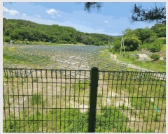  2024Ÿ��102635 �泲 �Ծȱ� ������ ��긮 503      ����(��)���